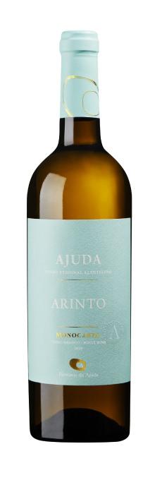 Ajuda Arinto Branco Monocasta 2024