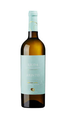 Ajuda Arinto Branco Monocasta 2024