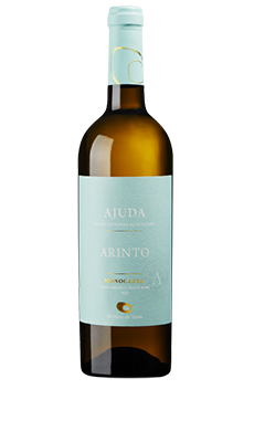 Ajuda Arinto Branco Monocasta 2024
